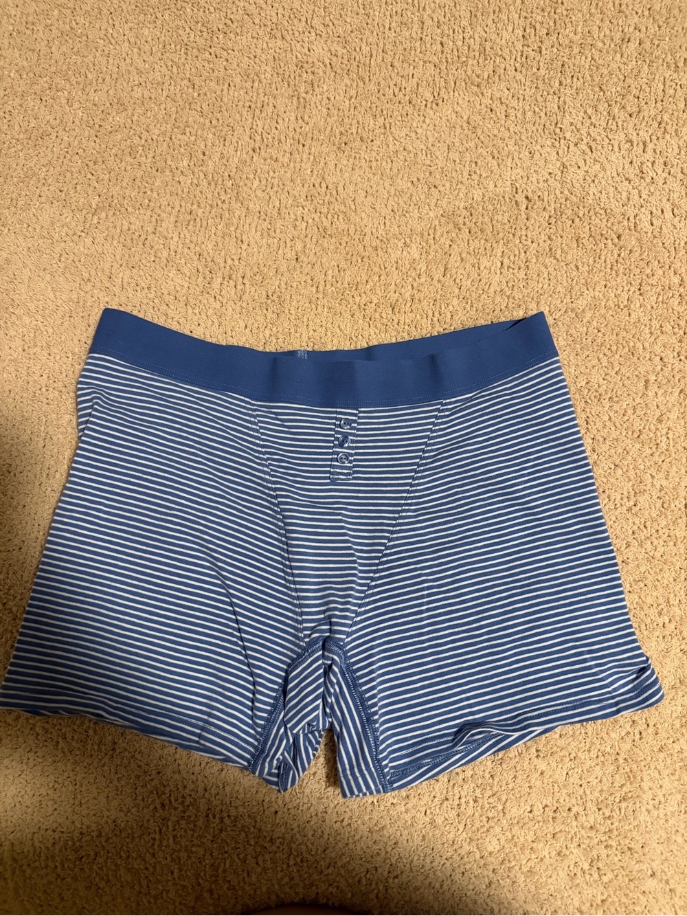 aerie Blue and White Striped Bike Shorts